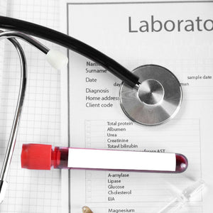 Zöliakie-Antikörper: Werte in der Diagnostik verstehen