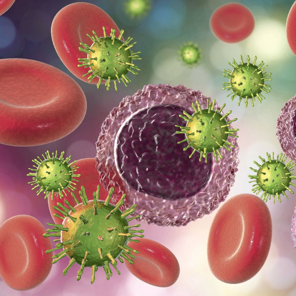 Autoimmunerkrankung - Schnitzer