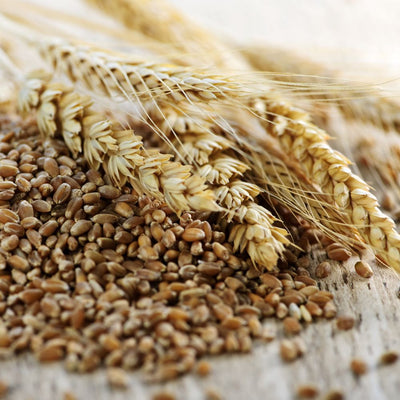 Gluten